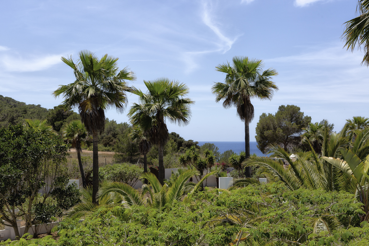 Cala Jondal