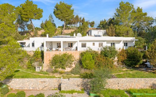 <trp-post-container data-trp-post-id='65706'>San Carlos</trp-post-container>